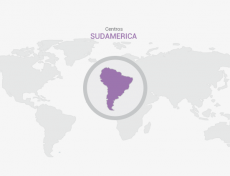 Estudios Sudamericanos