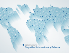 Seguridad Internacional y Defensa